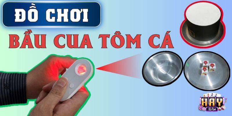 Bầu Cua bịp mới nhất hiện rất đa dạng những hình thức cược