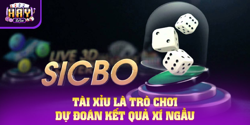 Tài Xỉu Là Gì - Trò Chơi Giải Trí Kịch Tính Đầy Thú Vị