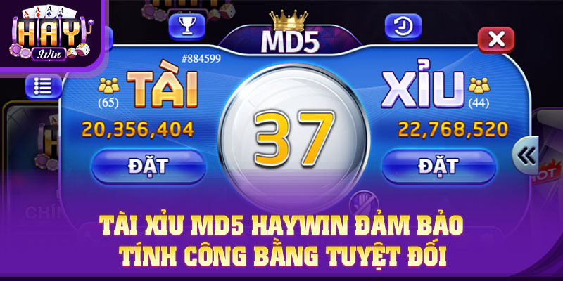 Tài Xỉu MD5 HAYWIN đảm bảo tính công bằng tuyệt đối