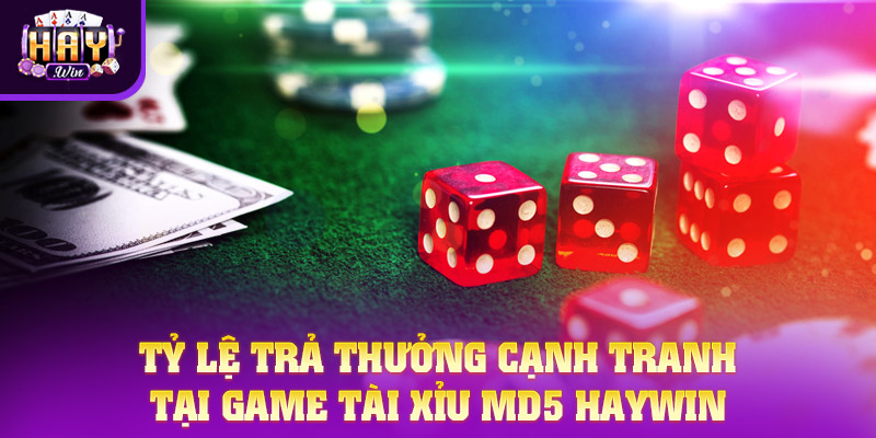 Tỷ lệ trả thưởng cạnh tranh tại game Tài xỉu MD5 HAYWIN